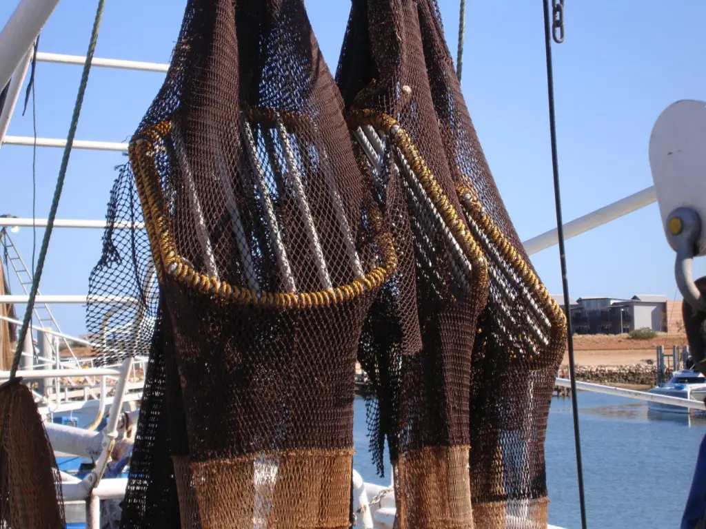 Australia Northern Prawn - Turtle Exclusion Devices