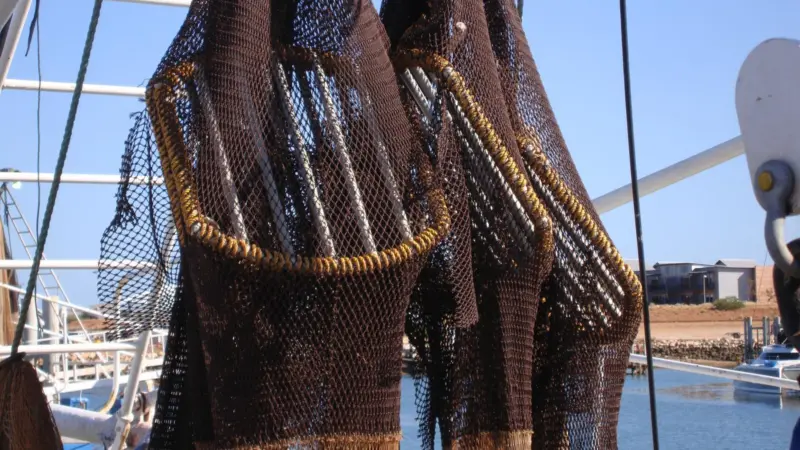 Australia Northern Prawn - Turtle Exclusion Devices