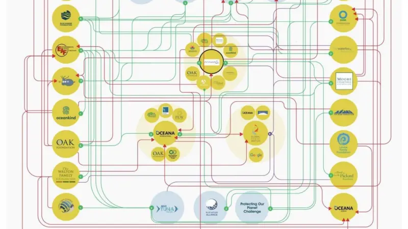 NGO funding model