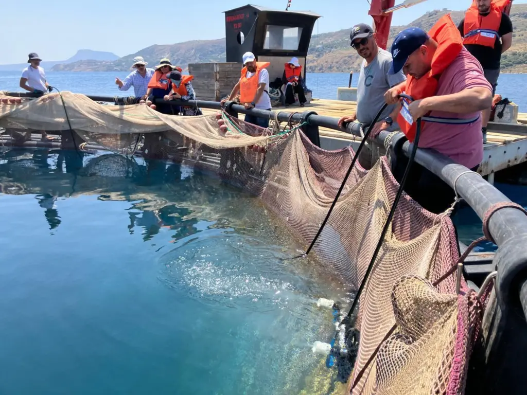 Participants received hands-on training in daily fish farm operations, including feeding, biomass monitoring, harvesting, and net cleaning ©FAO-GFCM_ Georgios Paximadis
