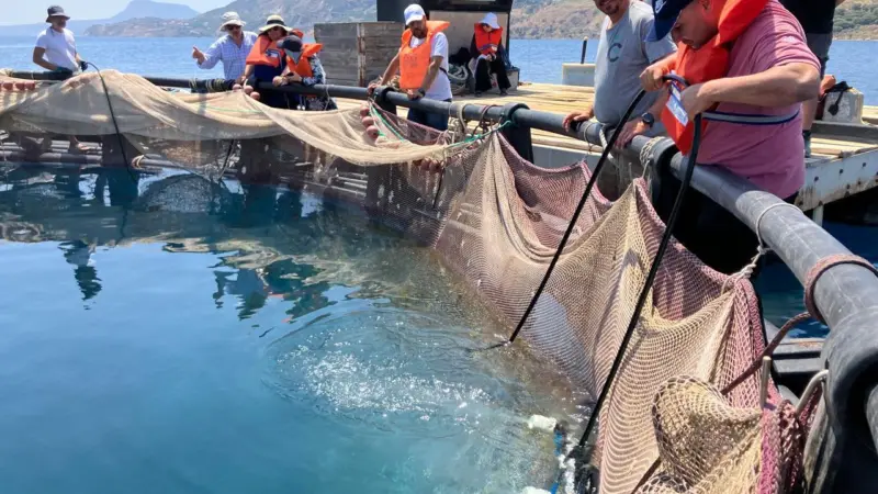 Participants received hands-on training in daily fish farm operations, including feeding, biomass monitoring, harvesting, and net cleaning ©FAO-GFCM_ Georgios Paximadis