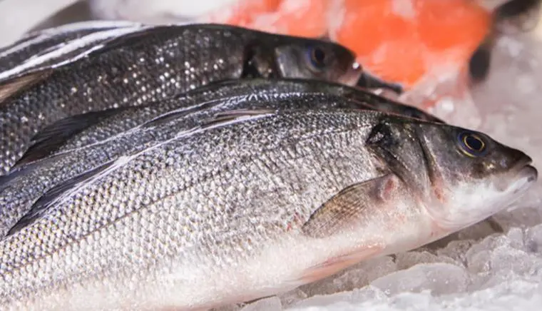 Seabass