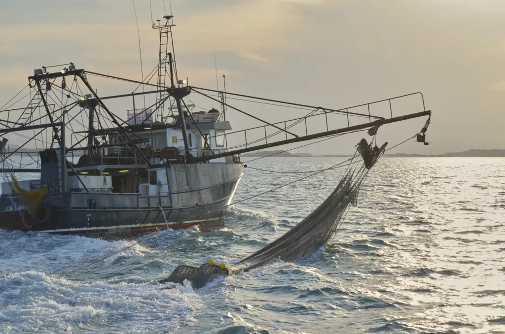 Fishing boat at sea