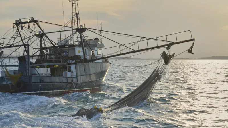 Fishing boat at sea
