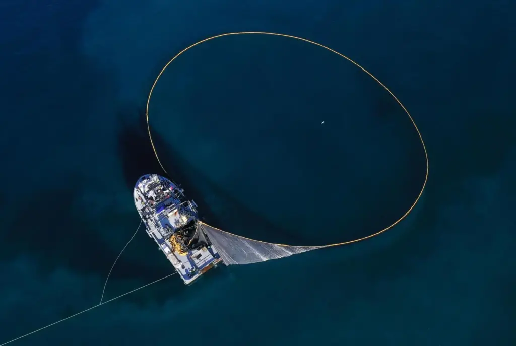 EU fishing strategy