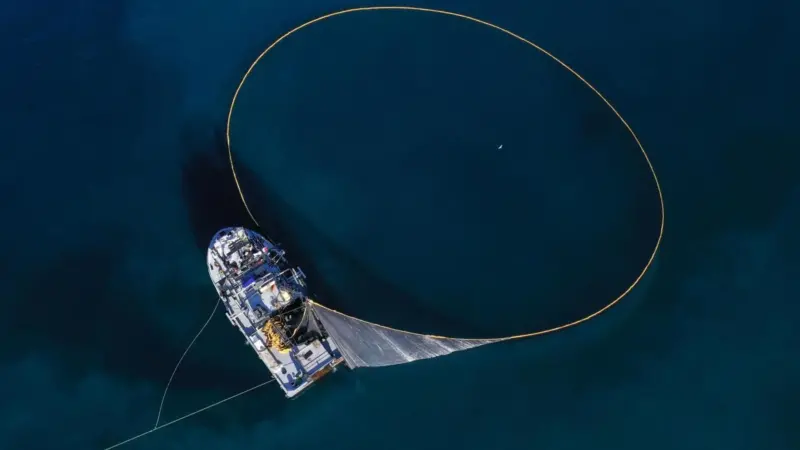 EU fishing strategy