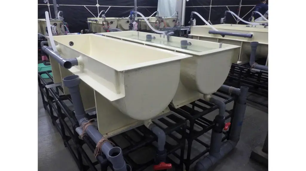 Eel production tank