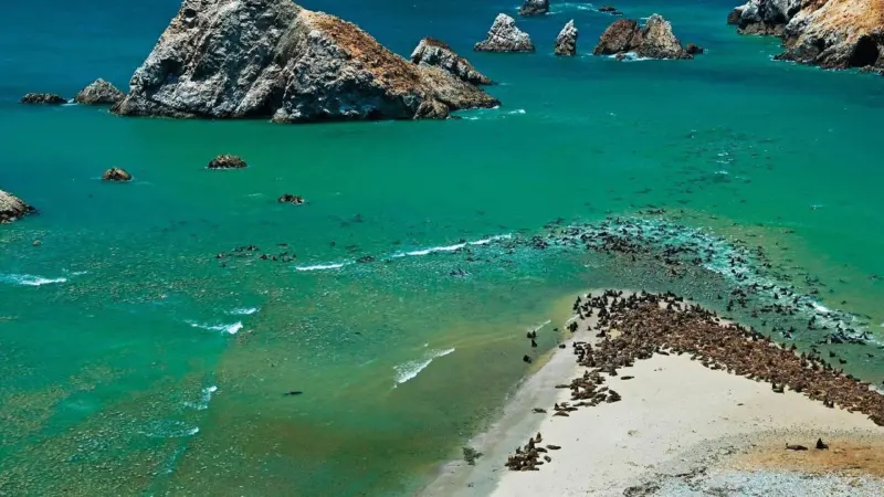 Wildlife Watching in Paracas - Promperu