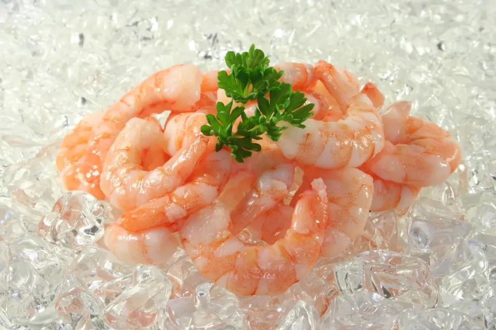 Shrimp