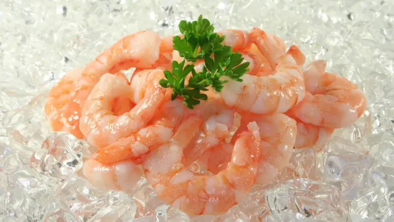 Shrimp