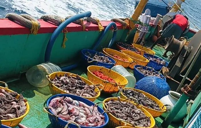India fishing