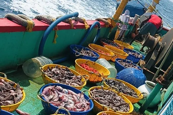 India fishing
