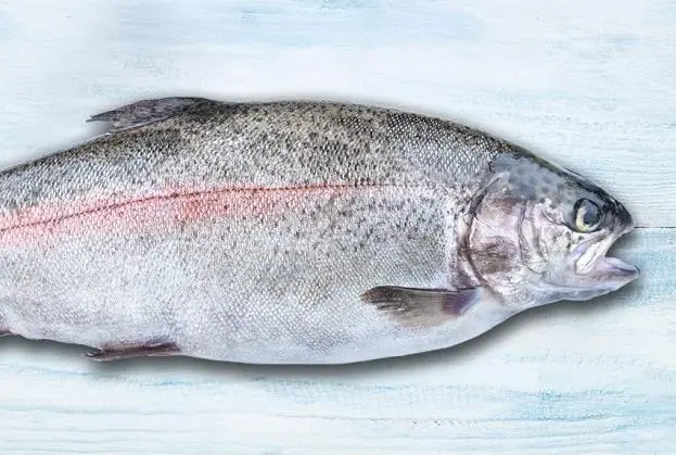 Turkish salmon