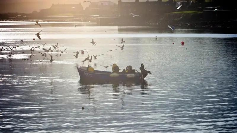 Community Catch