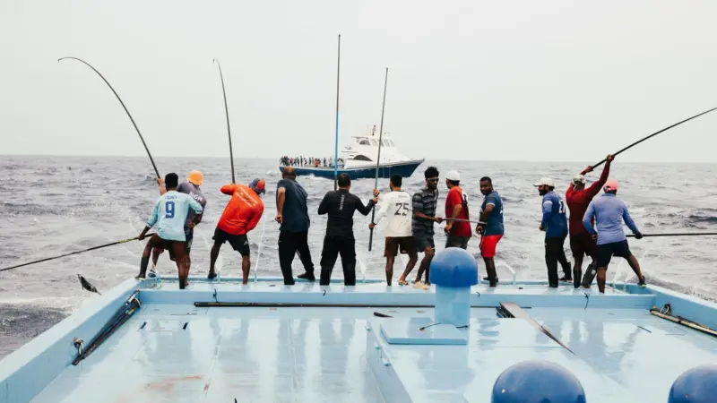 Pole and line fishing