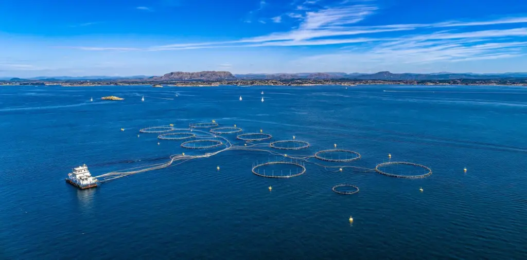 Offshore Fish Farm