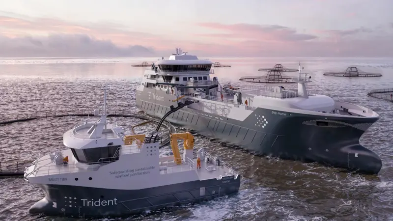 Trident newbuilds