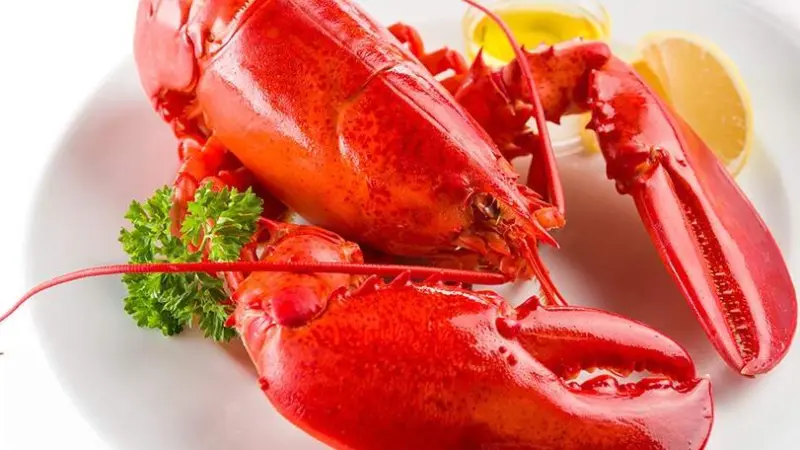 US lobster