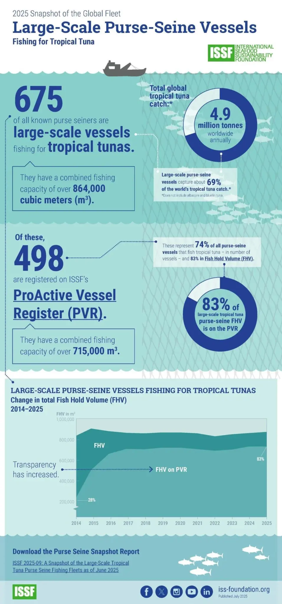 Snapshot Large Scale Purse Seine Fleet June 2025