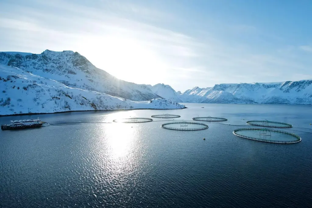 An image of a Norwegian fish farm