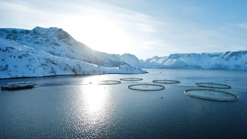 An image of a Norwegian fish farm