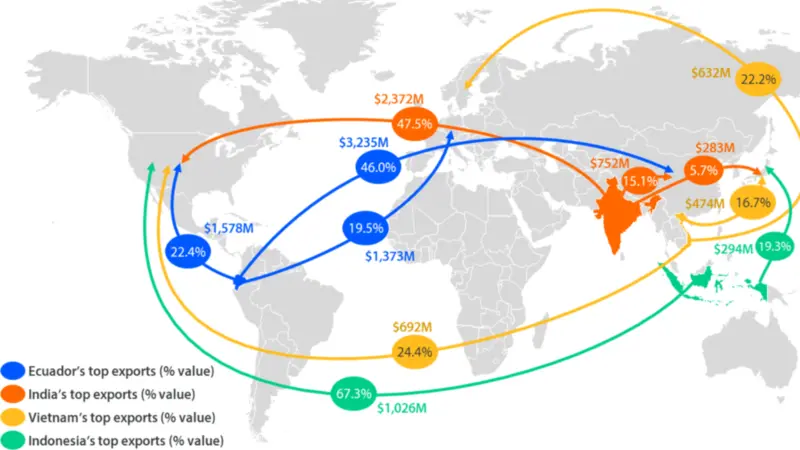 The image shows a shrimp market flow diagram visual