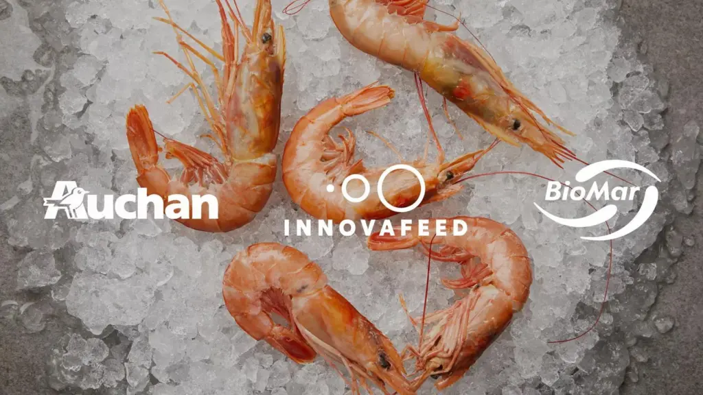 Innovafeed BioMar Auchan 2025