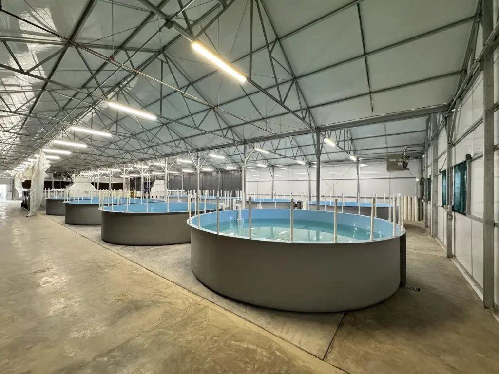 Inside Innovasea's Colorado aquaponics facility