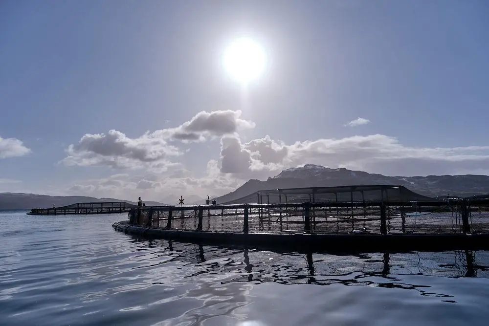 Scottish salmon farm showing a pen with mountains and sun behind