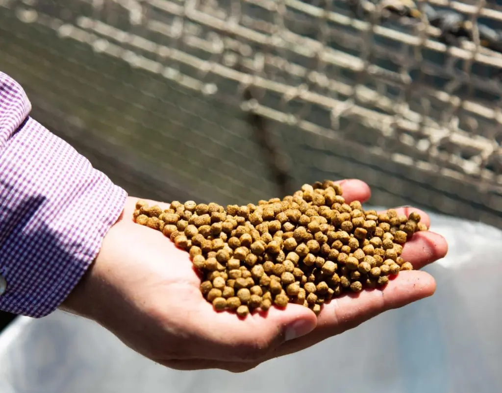 BAP Feed Mill
