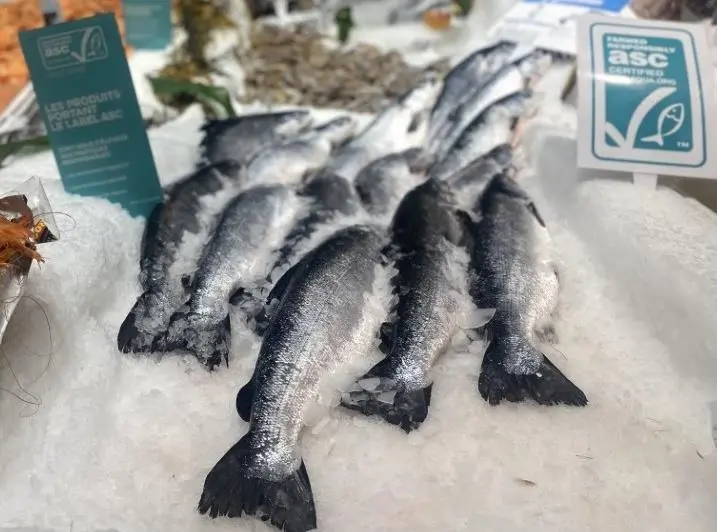 ASC certified salmon sold on French retail markets