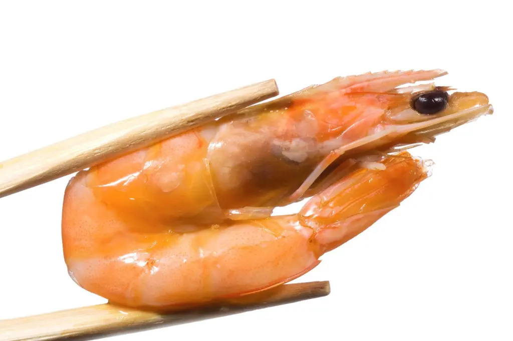 Shrimp