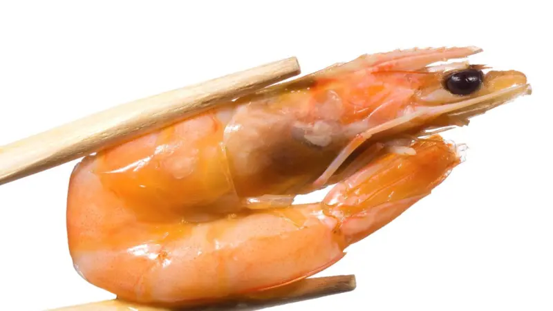 Shrimp