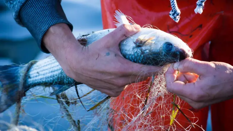 Fisherman holding a fish