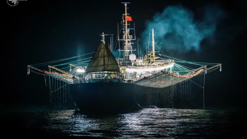 EJF Squid Report