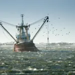 EU fishing vessel