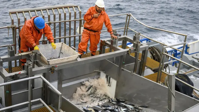 Chile fisheries
