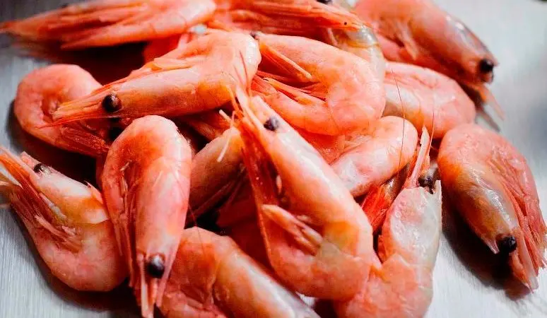Greenland coldwater prawns