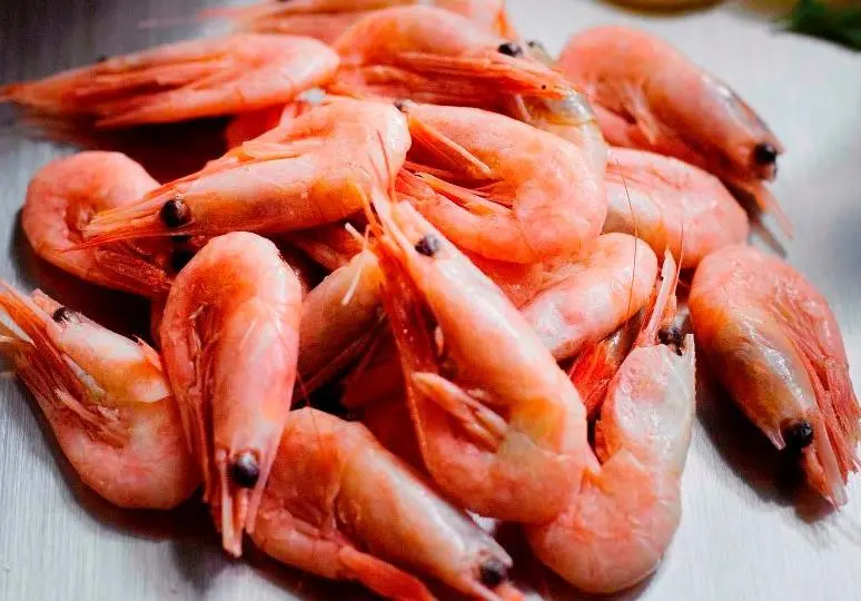 Greenland coldwater prawns