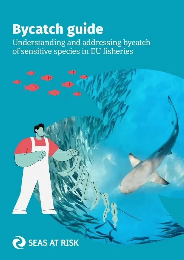 Seas At Risk Bycatch Guide