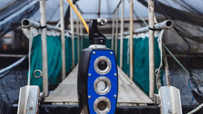 Biomass Camera