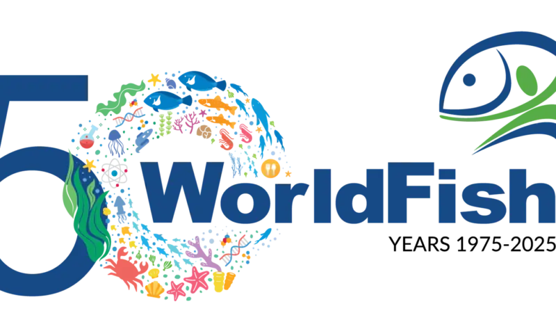 WorldFish 50