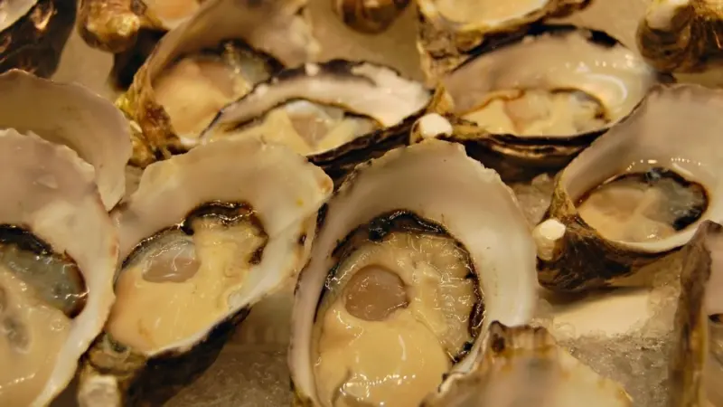 Oysters