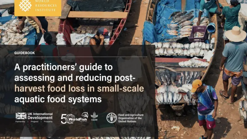 A Practitioner’s Guide to Assessing and Reducing Post-Harvest Food Loss in Small-Scale Aquatic Food Systems