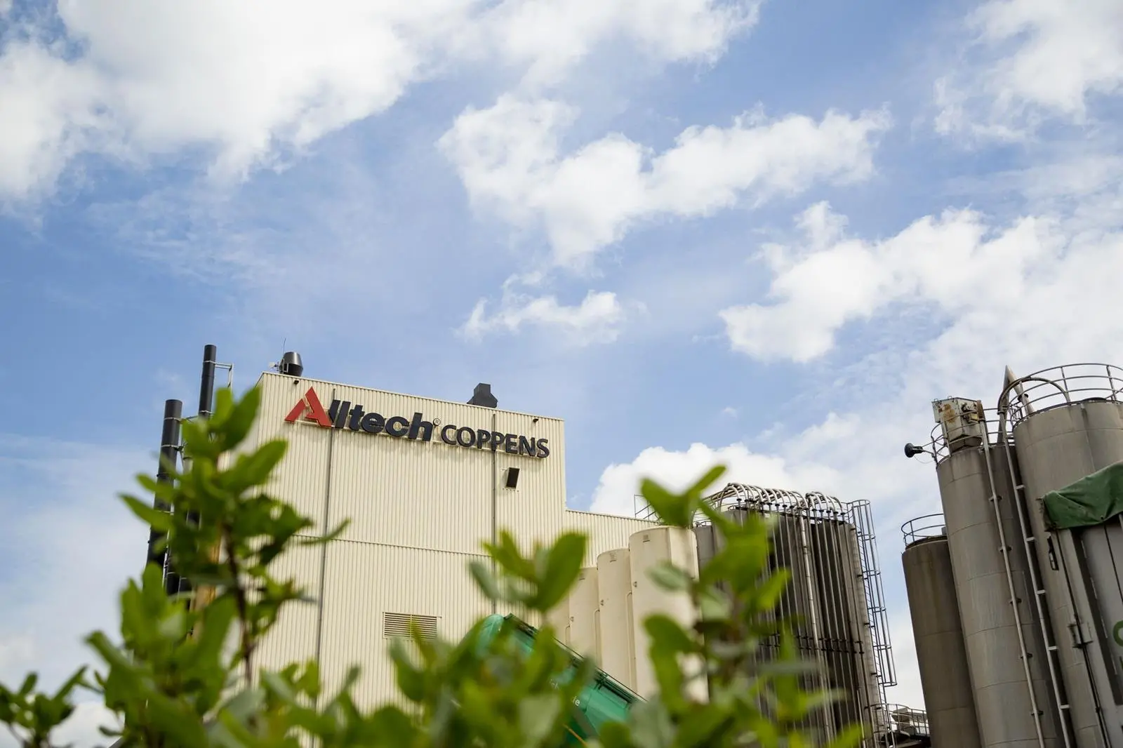 Alltech Coppens