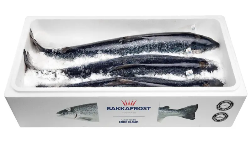 Bakkafrost salmon