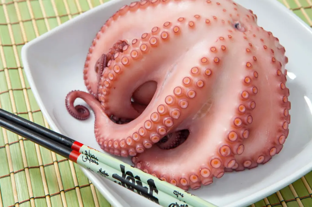 Octopus