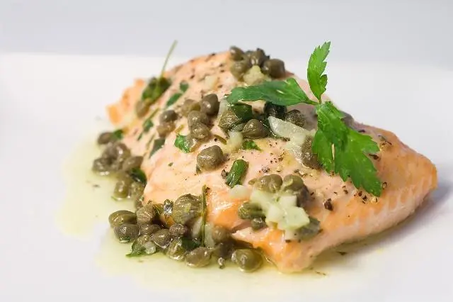 Salmon