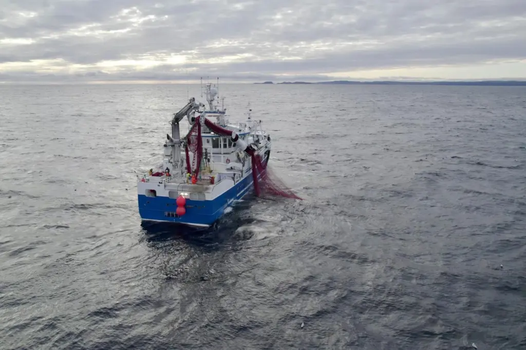 EU fisheries control