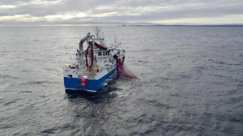 EU fisheries control